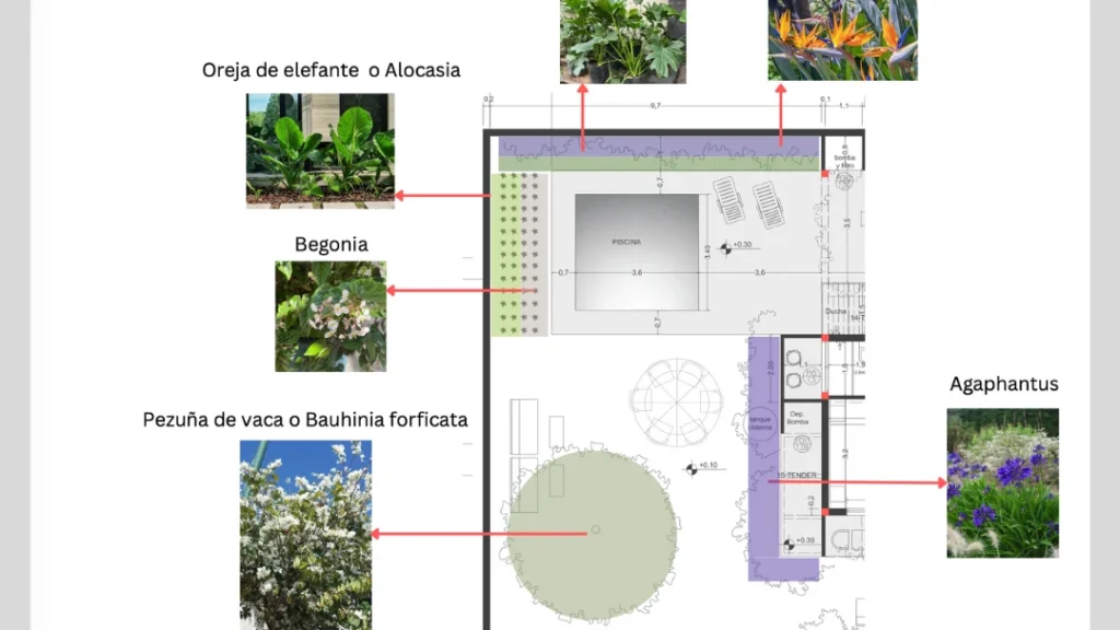 Garden design concept for a private home