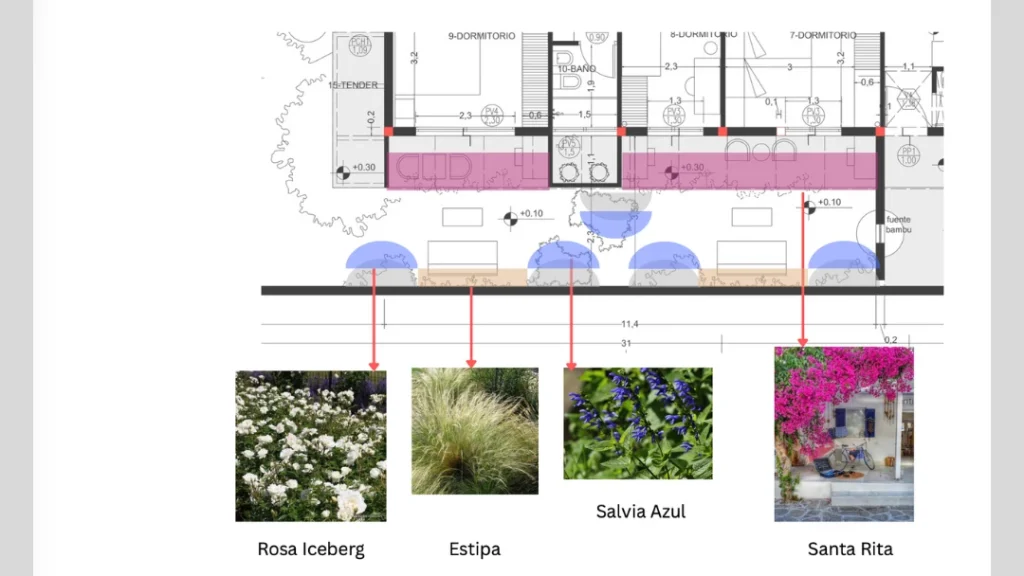 Garden design concept for a private home